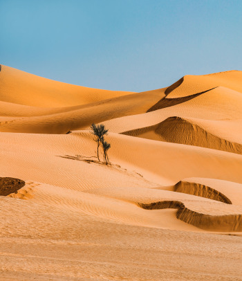 Deserto di Wahiba Sands