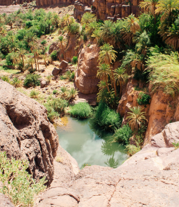 Oasi di Fint, Ouarzazate