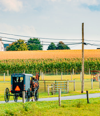 Comunità Amish di Lancaster