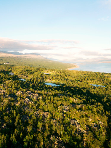Lapponia svedese