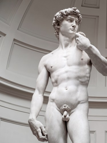 David di Michelangelo, Galleria dell'Accademia, Firenze