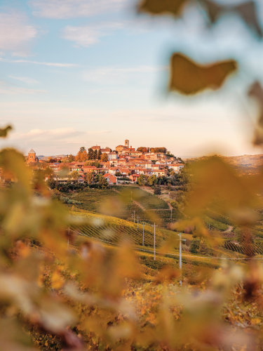 Barolo