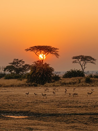Parco Nazionale Kafue