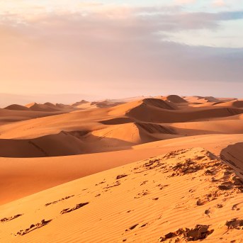 Deserto di Wahiba Sands