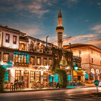 Berat by night