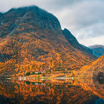 Sognefjord