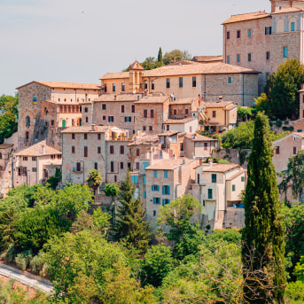 Todi