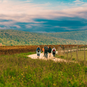 Trekking