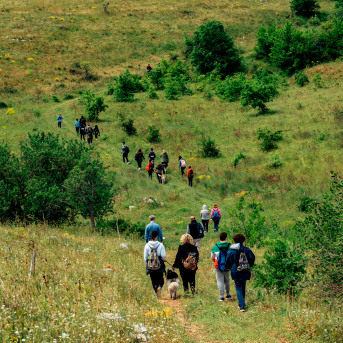 Trekking nel Parco della Murgia