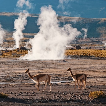 Geyser a El Tatio