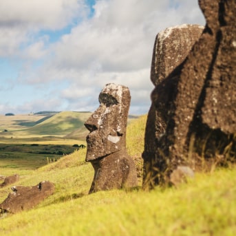 Testa Moai Rano Raraku, Isola di Pasqua