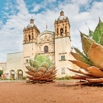 Chiesa di San Domenico, Oaxaca