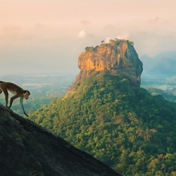 Rocca Fortezza, Sigiriya