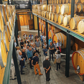 Cantina nelle Langhe