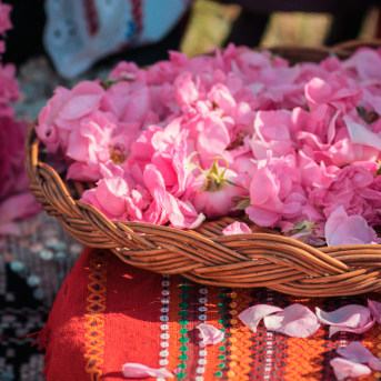 Raccolta delle rose, Kazanlak