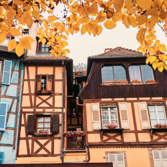 Colmar