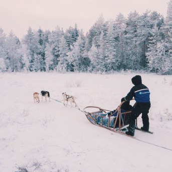 Escursione in slitta con gli husky