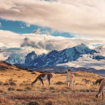 Torres del Paine