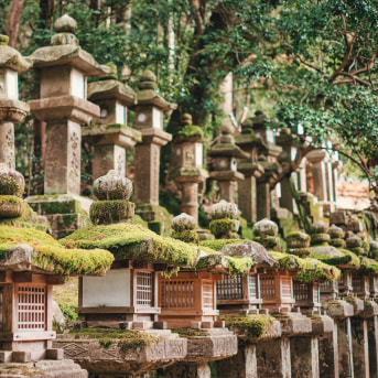 Kasuga Taisha, Nara