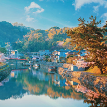 Uji