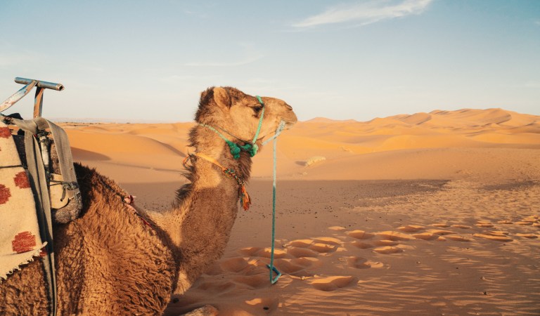 Deserto del Merzouga