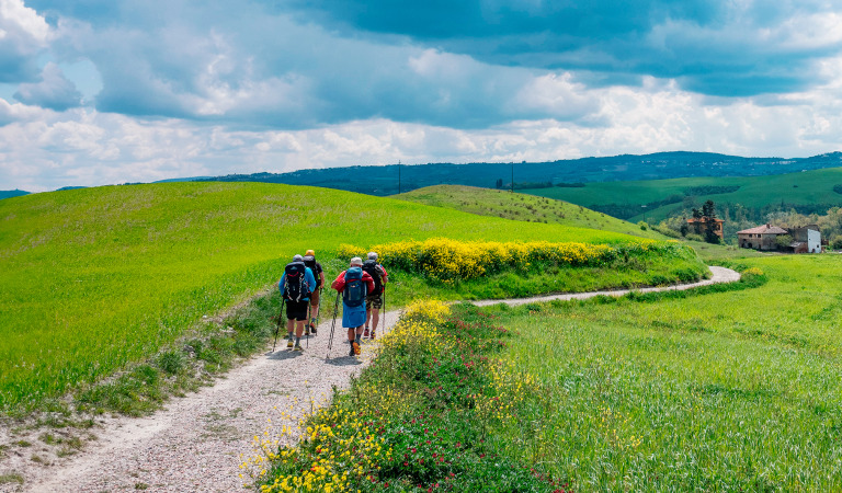 Via Francigena