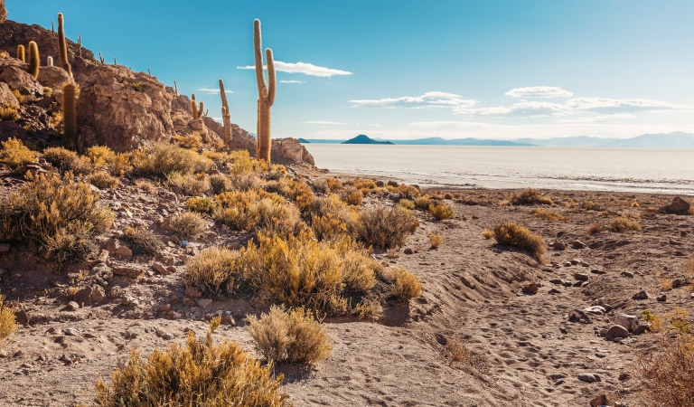 Salar de Uyuni
