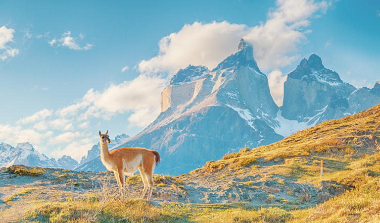Parco Nazionale Terra Del Fuoco