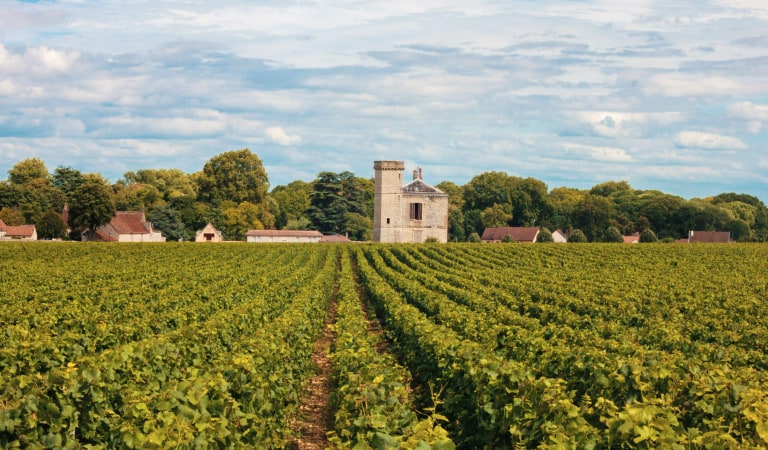 Route des Grands Crus