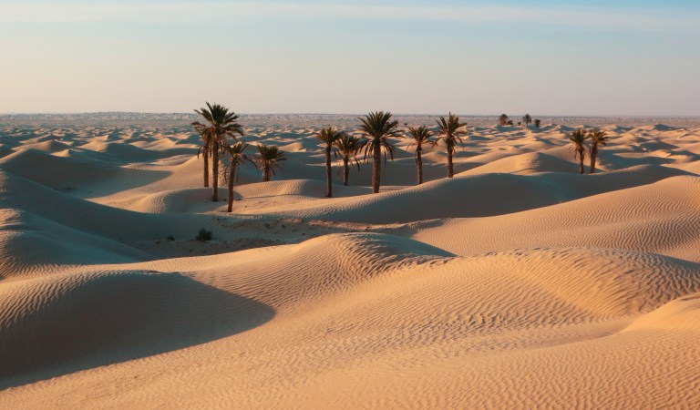 Deserto tunisino nei dintorni di Douz