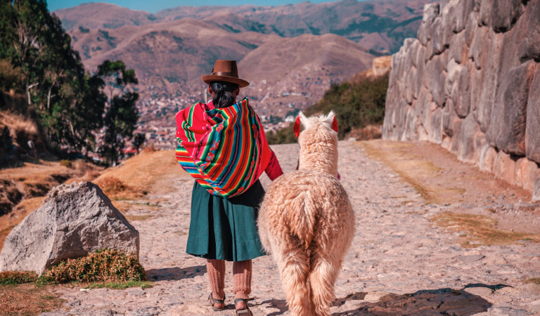 Alpaca Perù