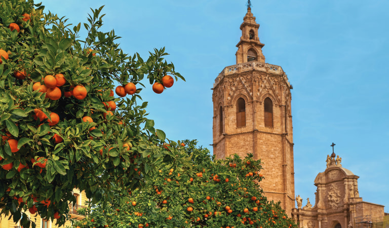 Cattedrale di Valencia