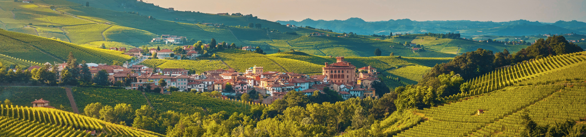 Piemonte - Kyrama Responsible