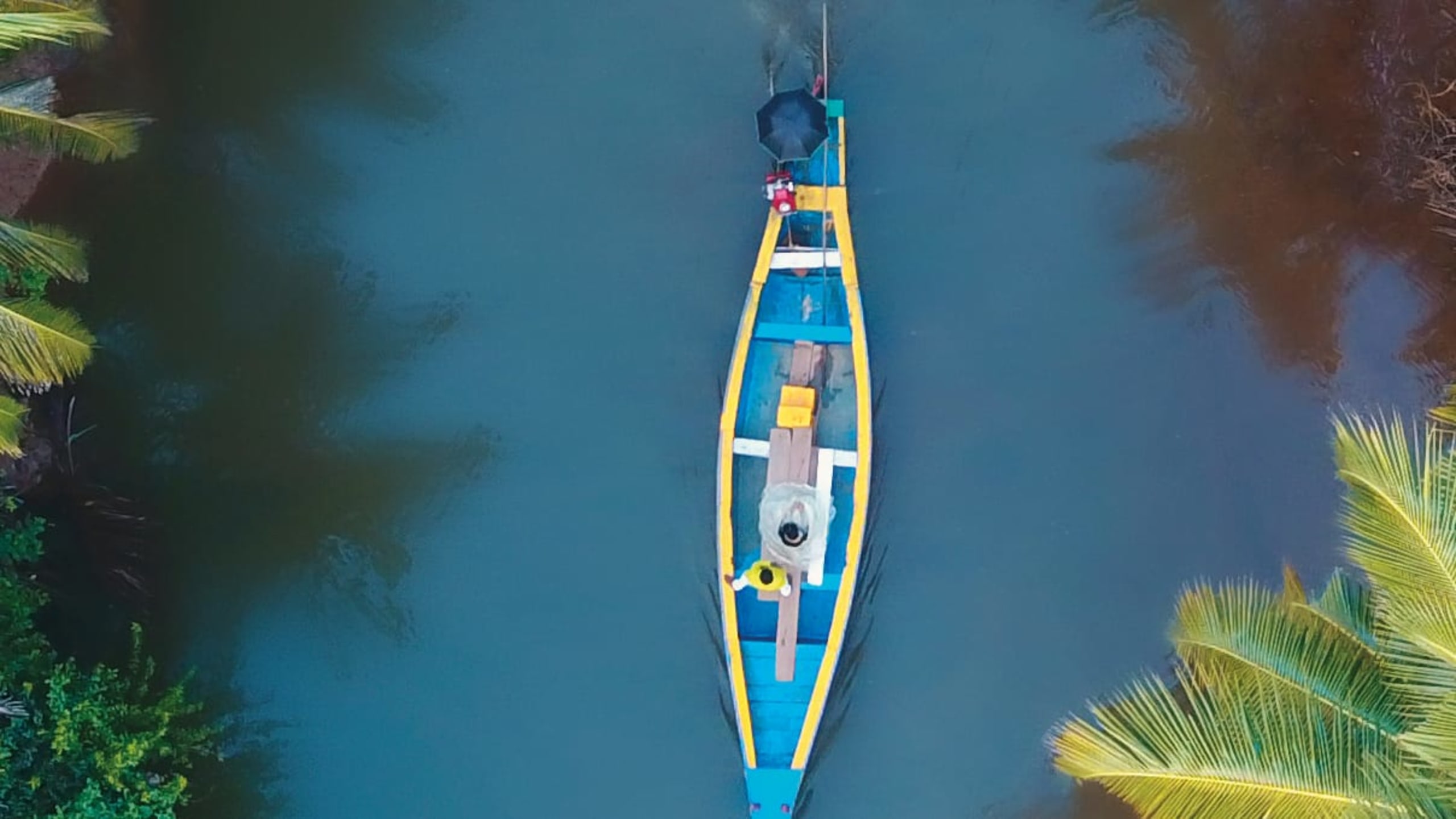Backwaters, Kerala