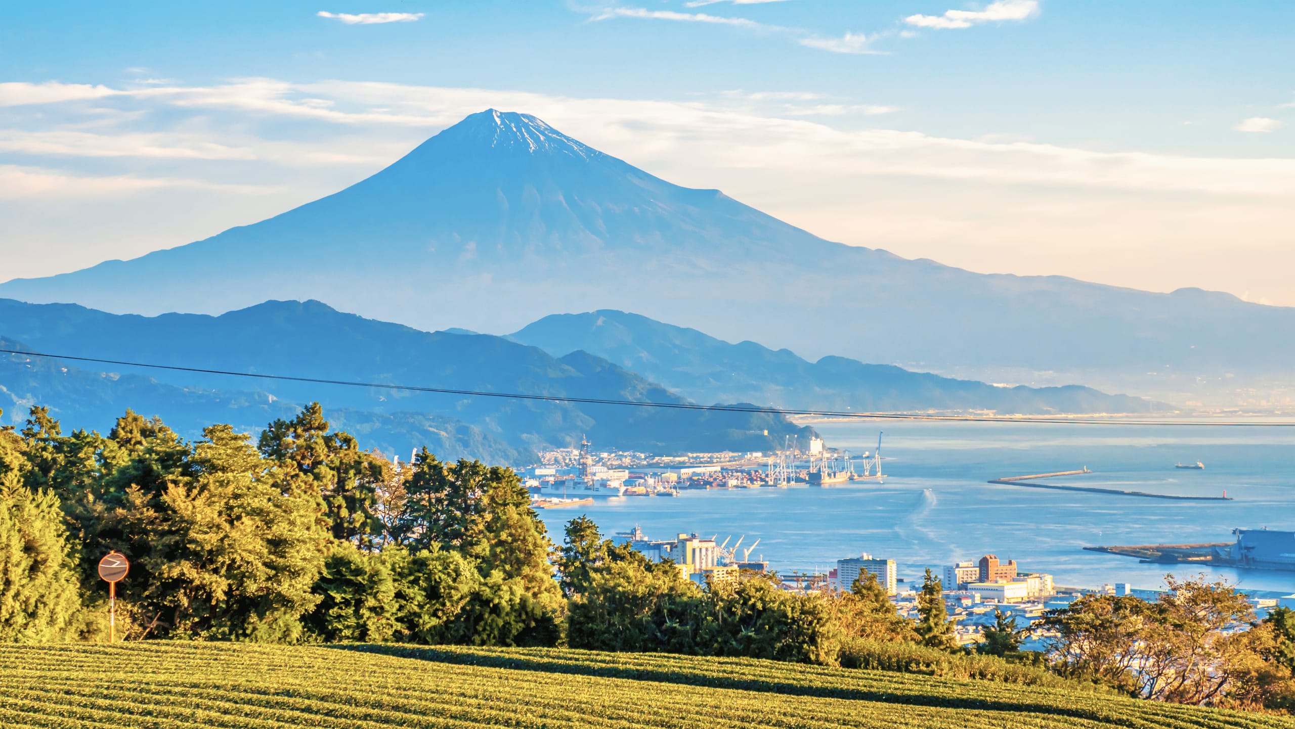Shizuoka