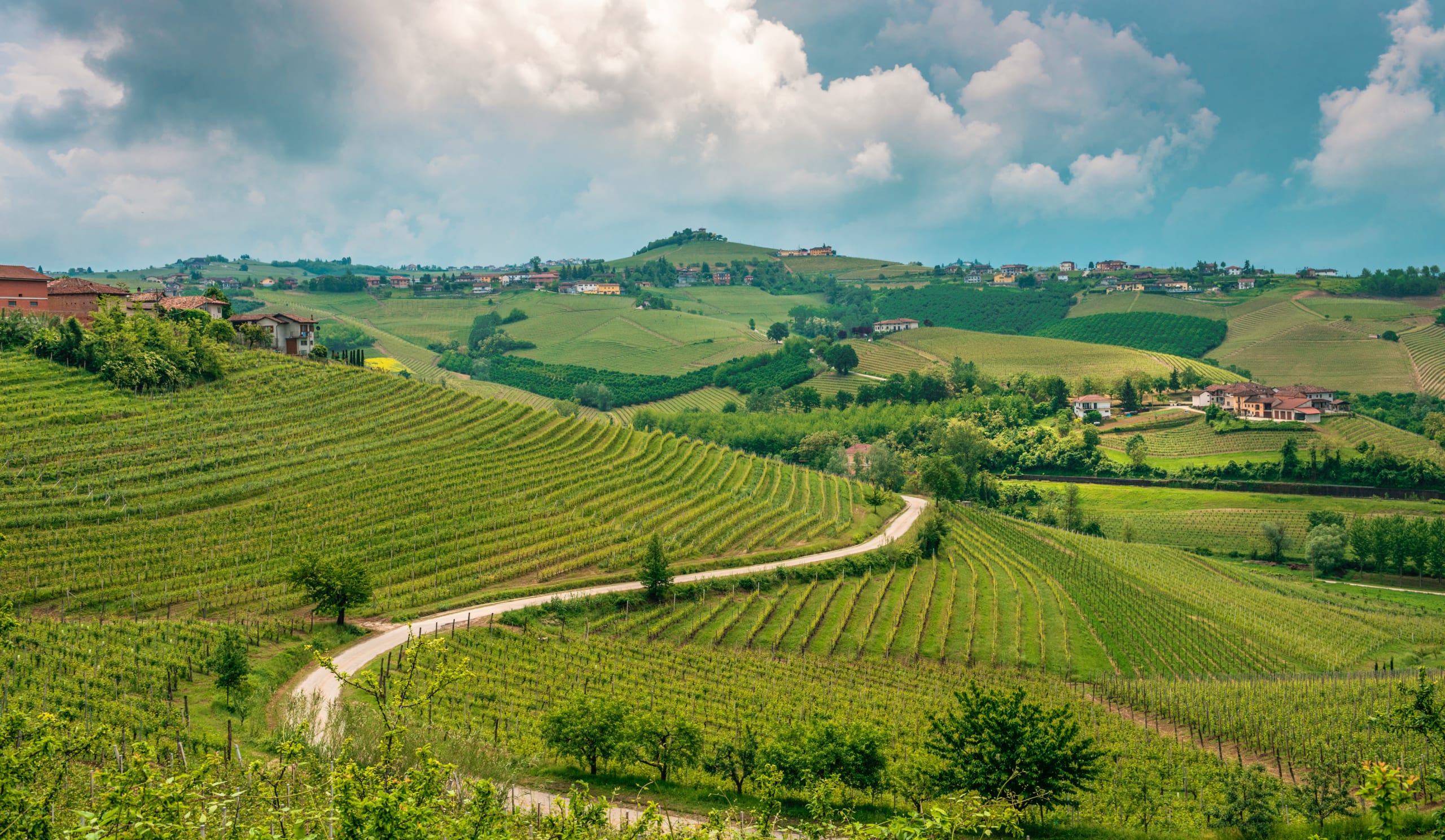 Paesaggio delle Langhe