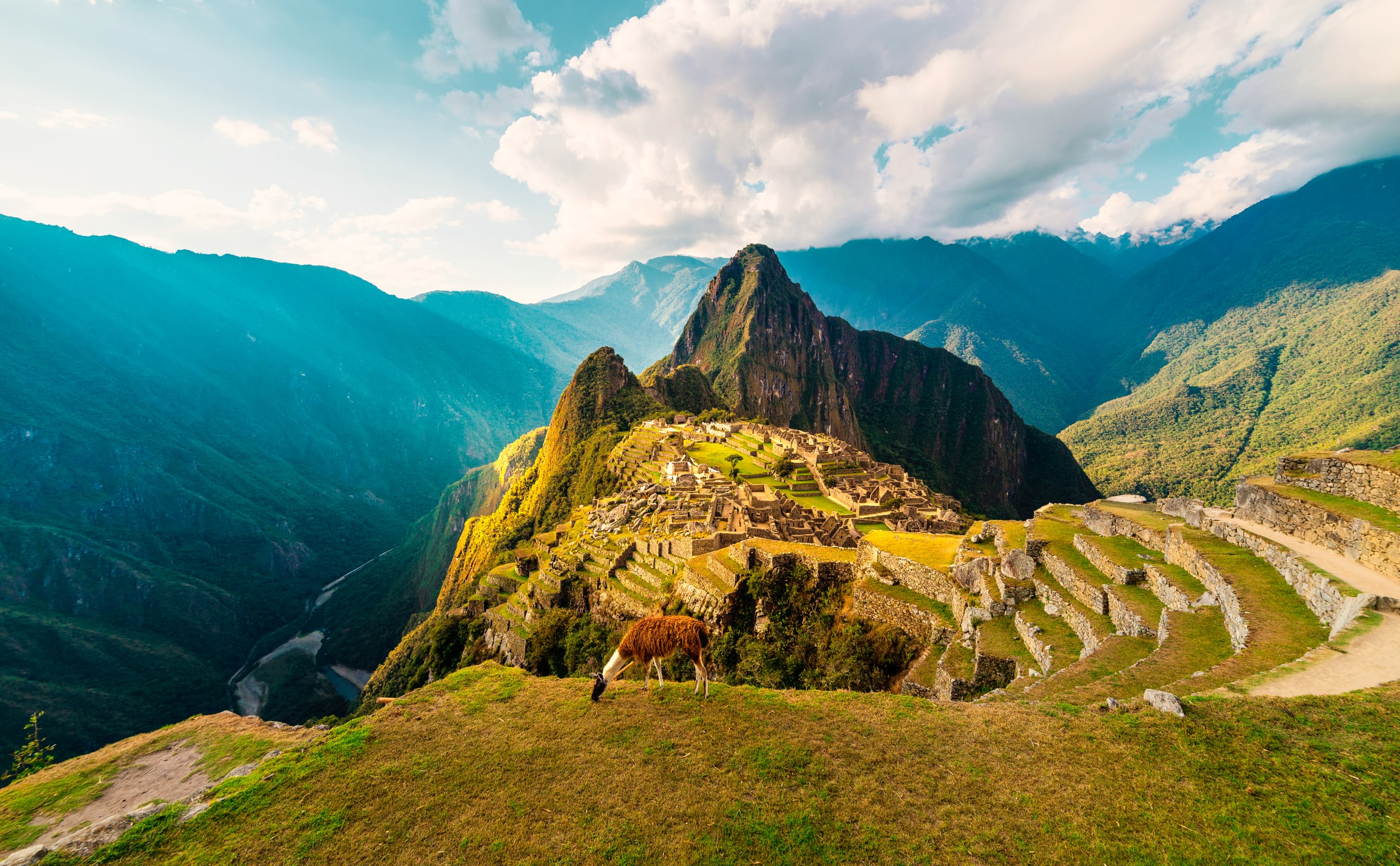 Machu Picchu