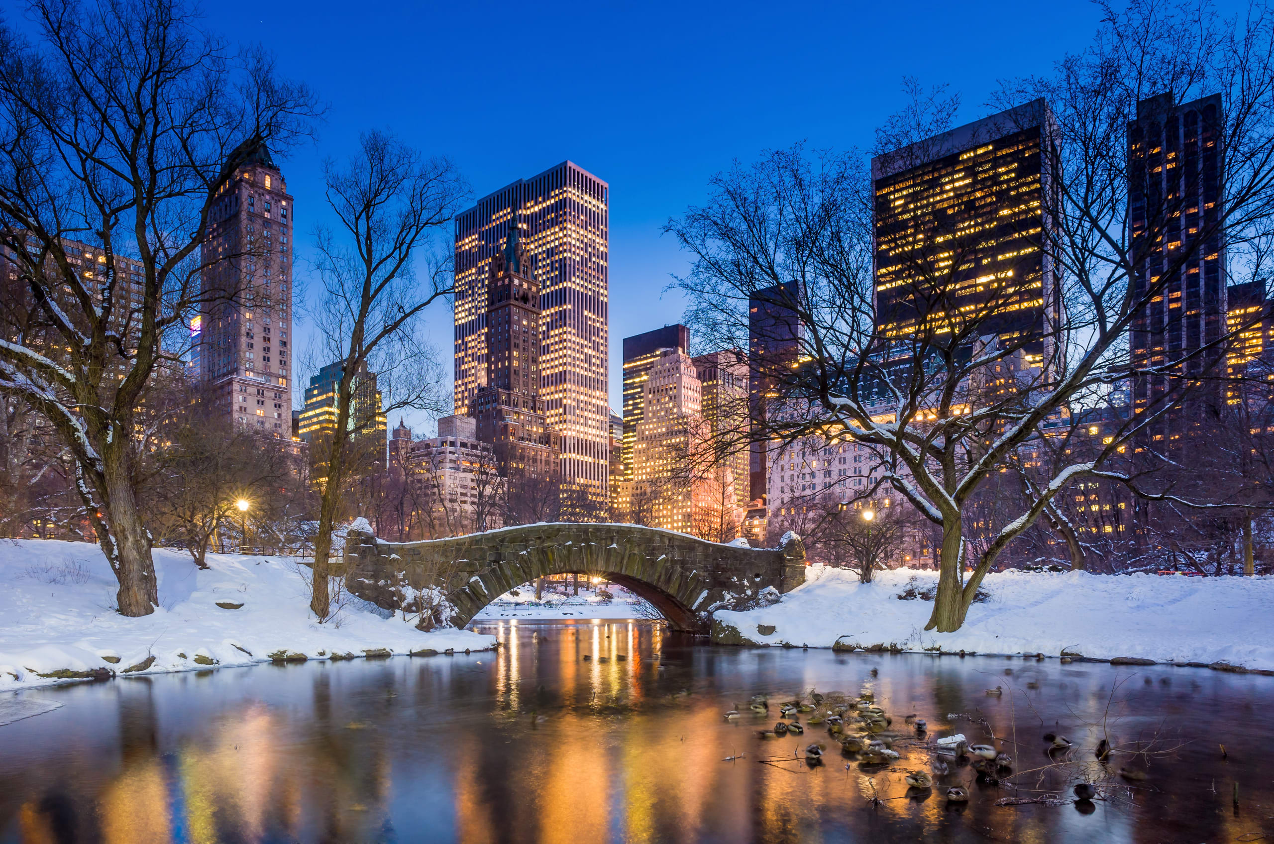 Central Park New York in inverno