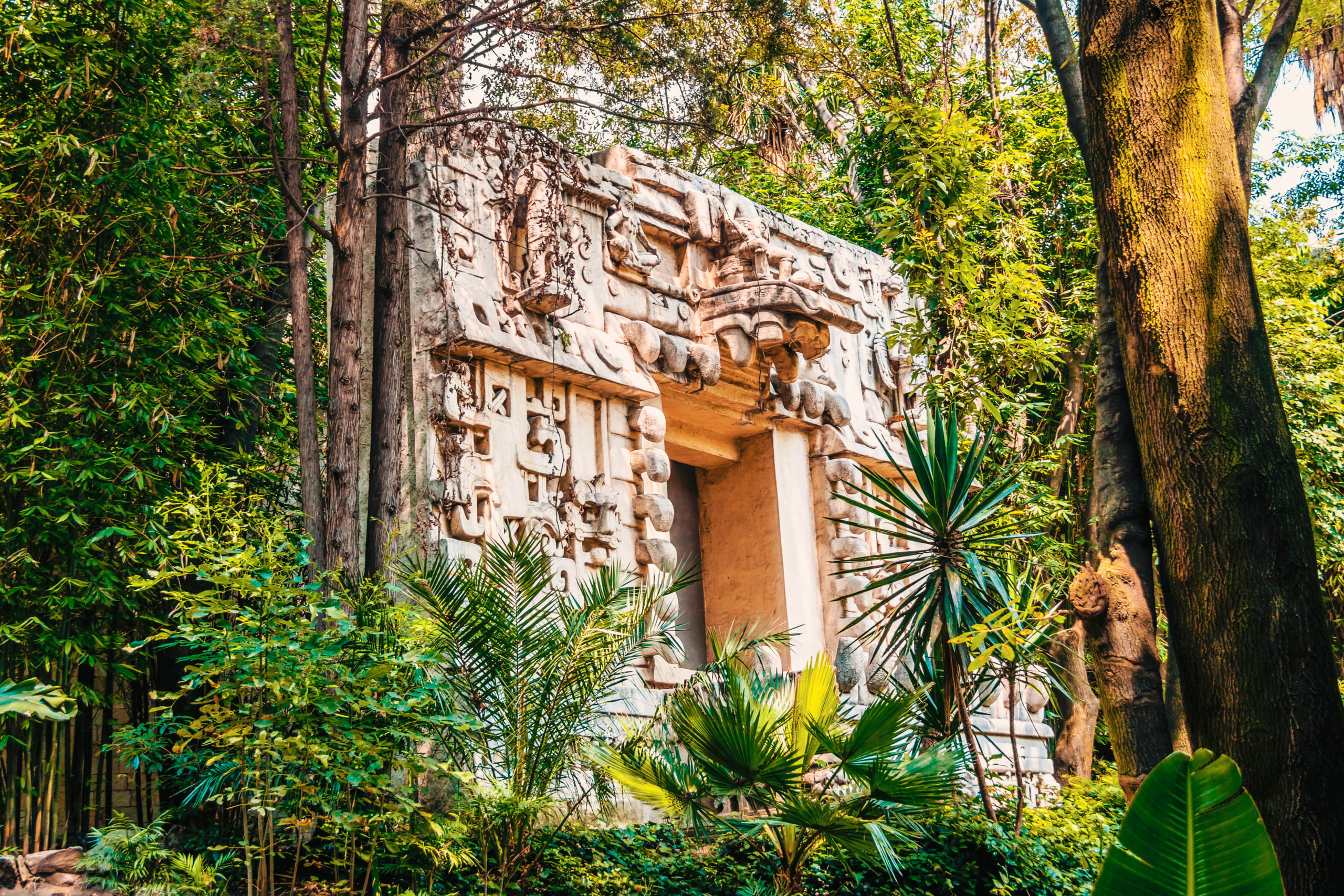 Tempio Maya, Museo di Antropologia, Città del Messico