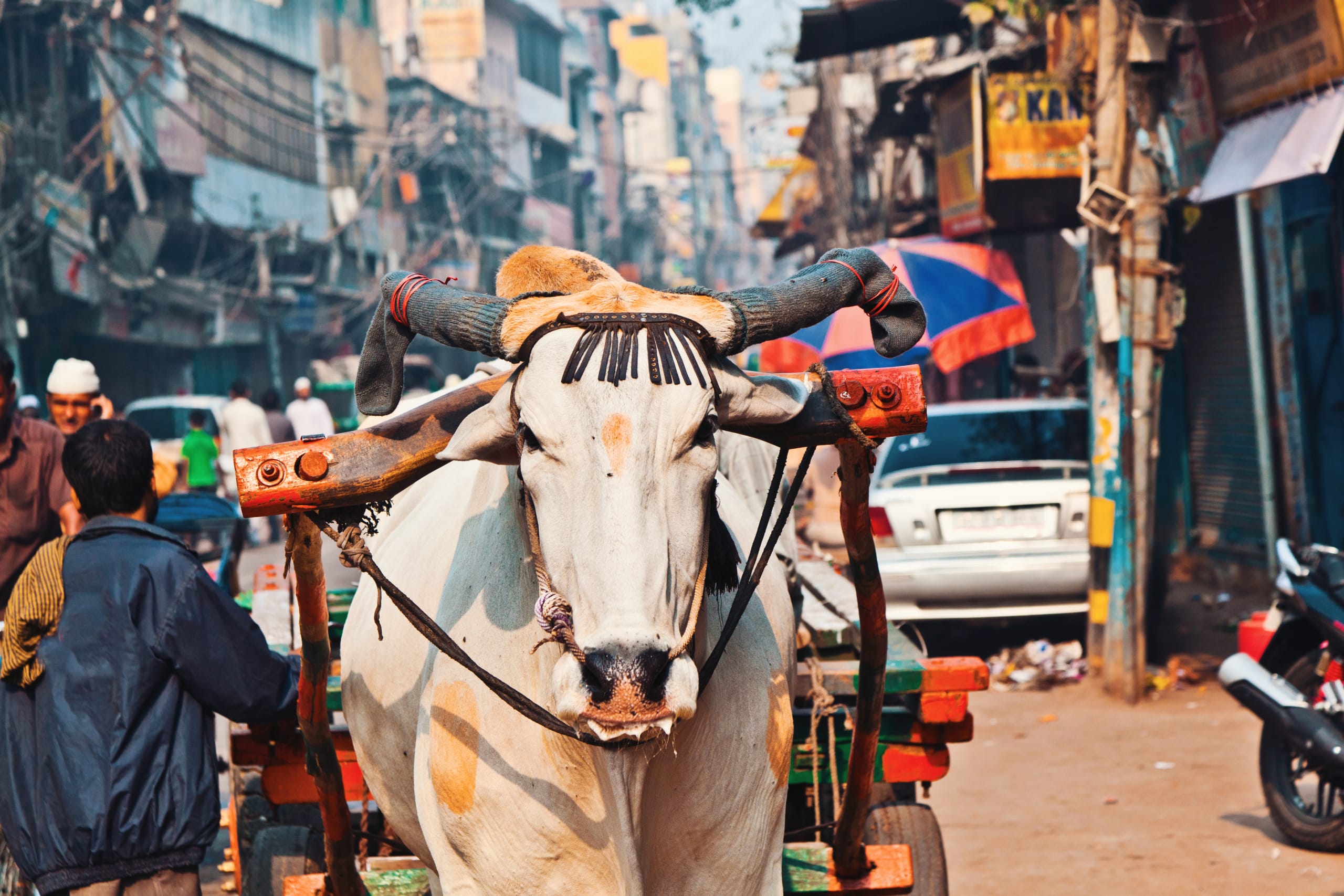 Sadar Bazaar, Delhi