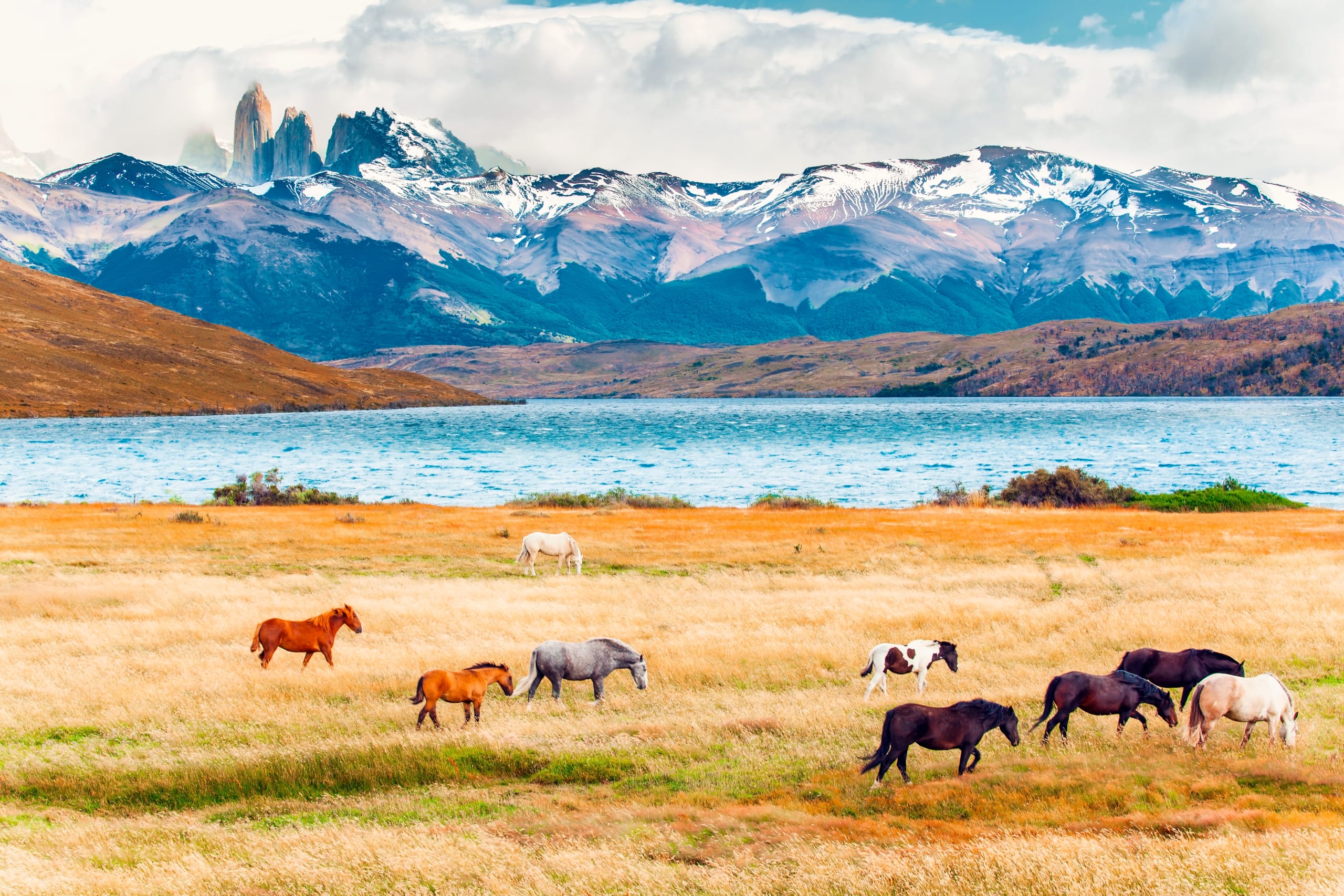 Laguna Azul, Torres del Paine