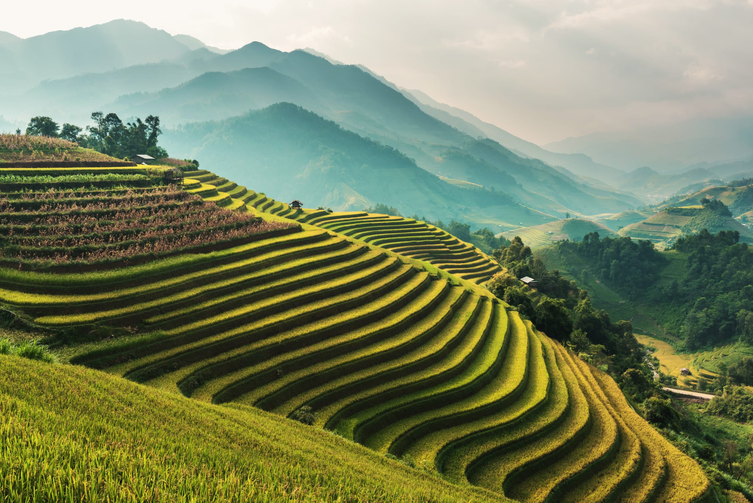 Risaie a Mu Cang Chai