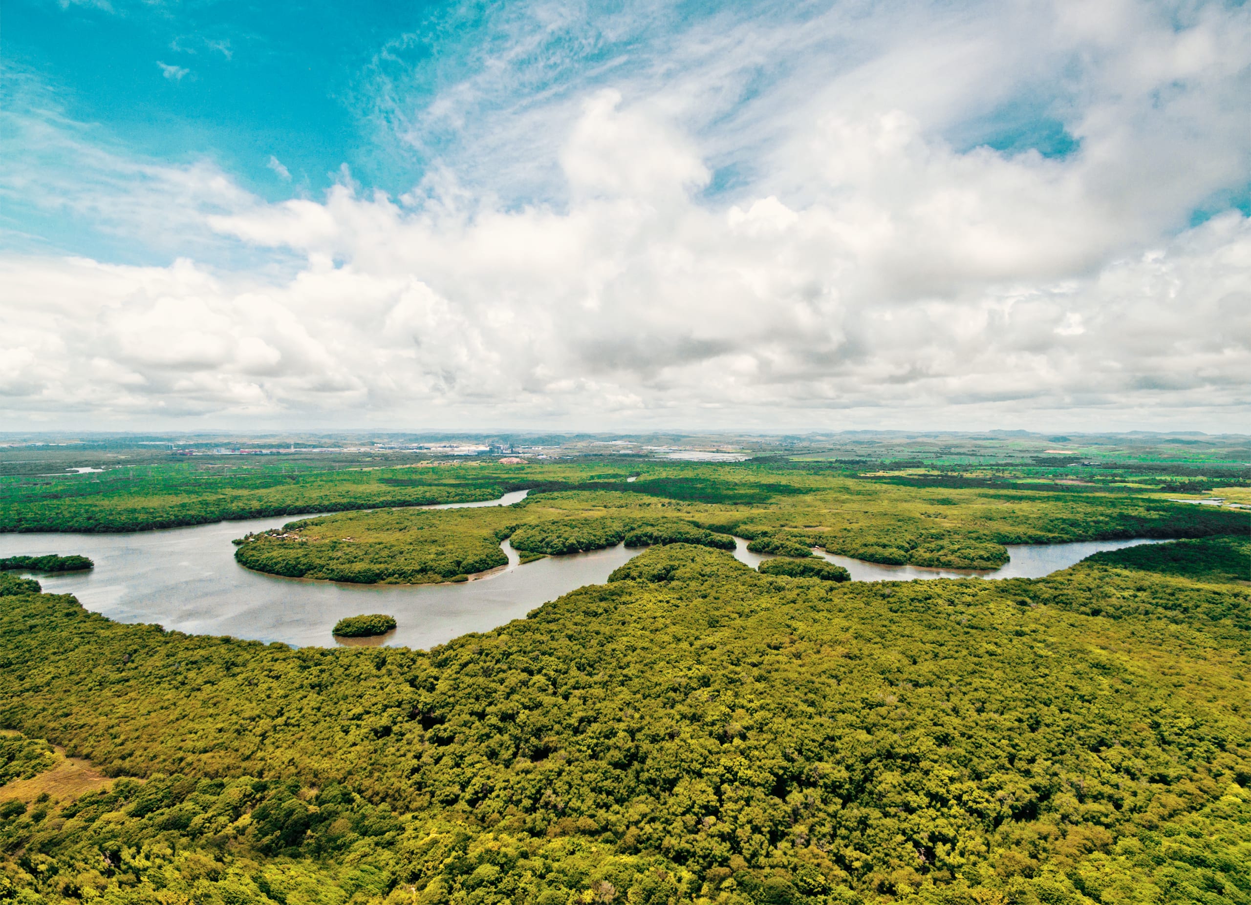 Amazzonia, Brasile