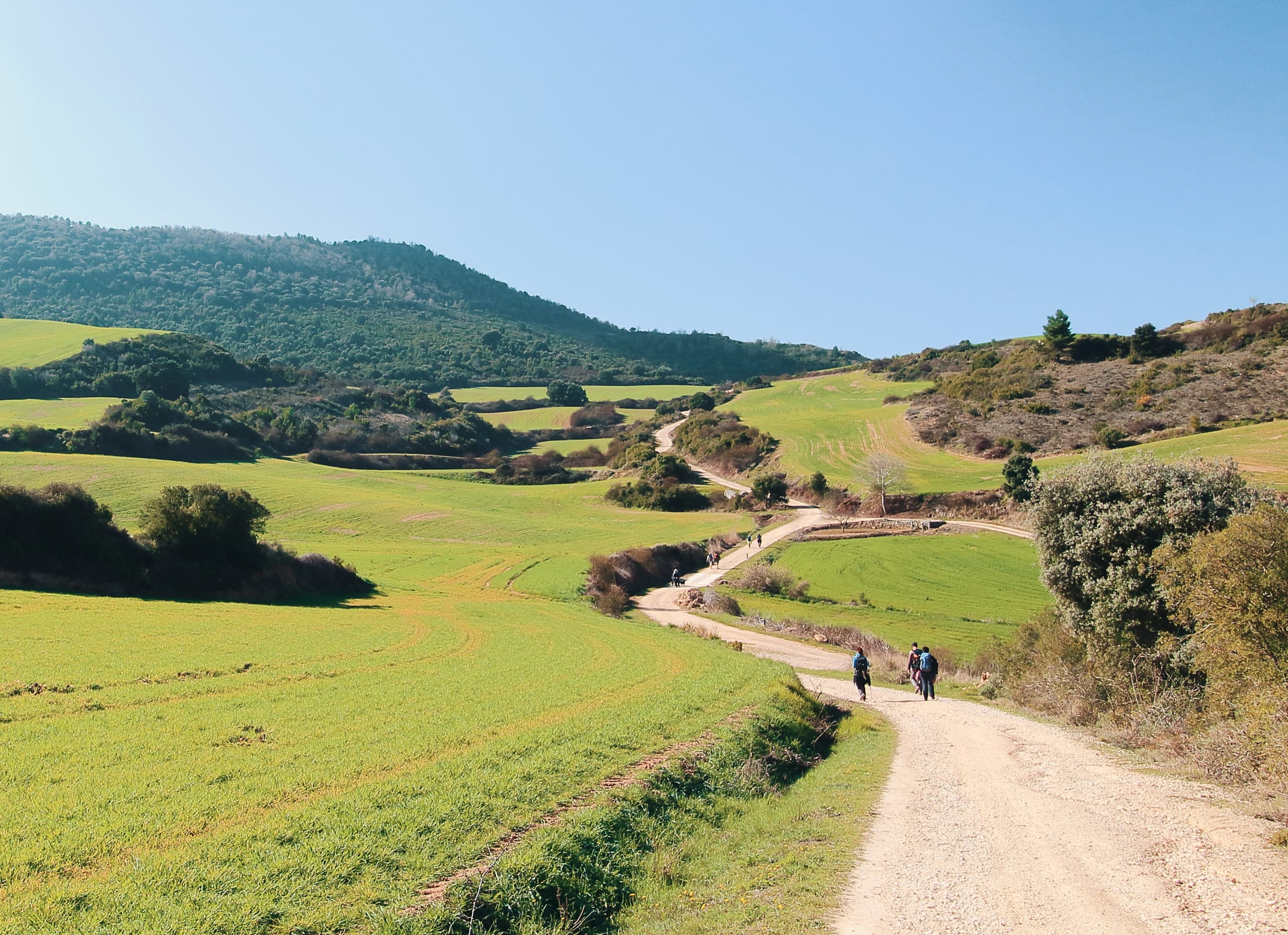 Camino Navarro, Navarra