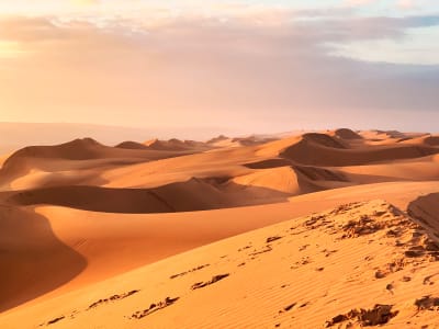 Wahiba Sands, Oman