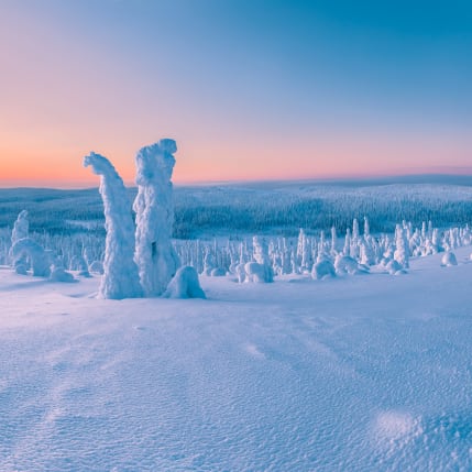 Distesa di Neve in Finlandia