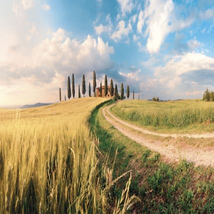 Val d'Orcia