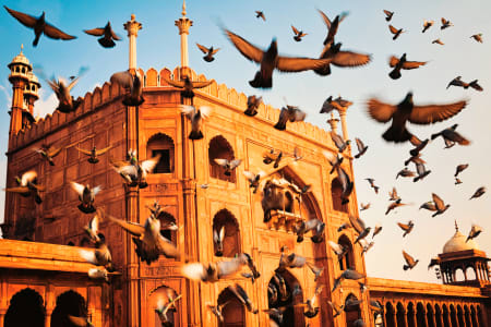 Jama Masjid, Dehli