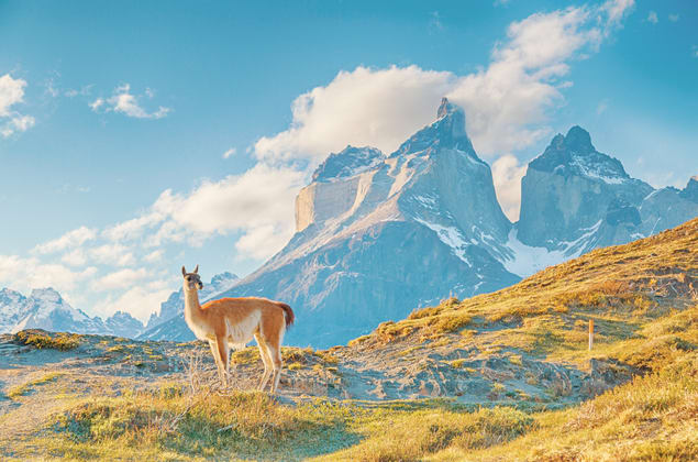 Parco Nazionale Terra Del Fuoco