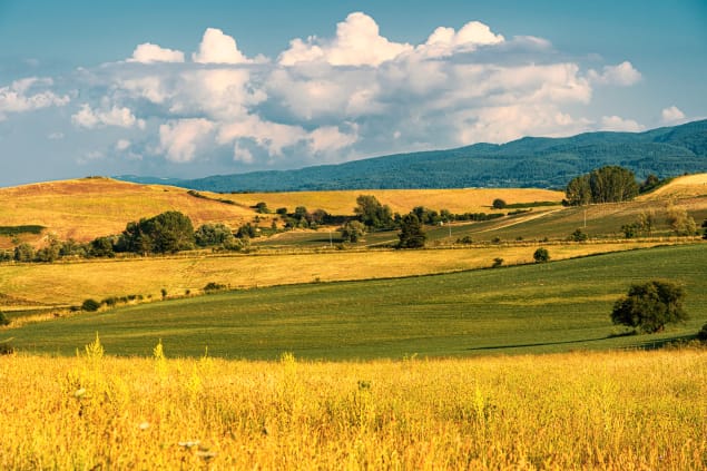 Parco della Sila, Calabria